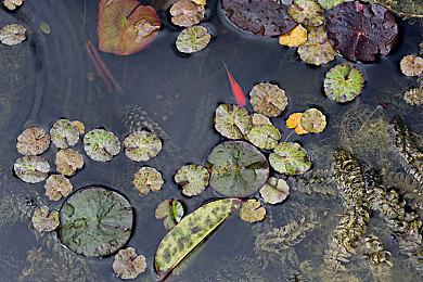 《霍格沃茨之遗》PS4和XB1版玩家数据 游玩时长已超1720万小时